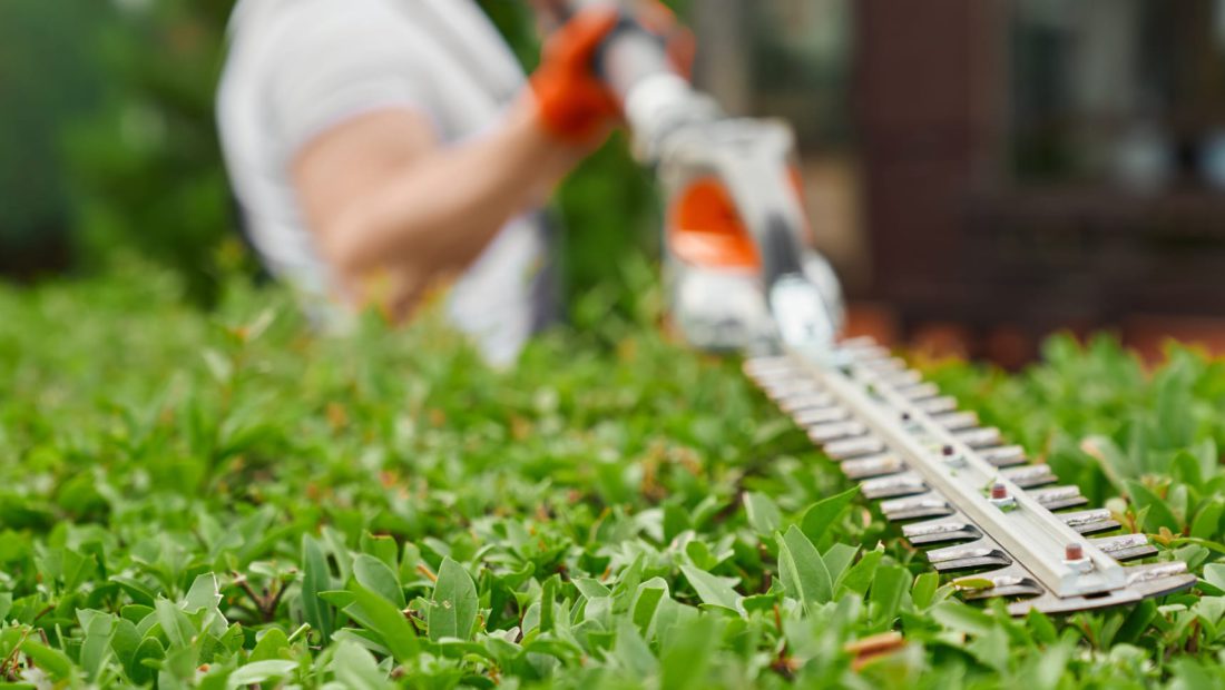 Natuurlijk valk tuin onderhoud Natuurlijk valk tuin onderhoud